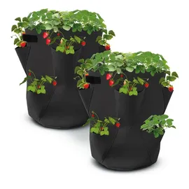 Spetebo Erdbeer Pflanzsack 45 x 35 cm
