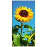 Artland Wandbild »Sonnenblume«, Blumen, (1 St.), als Alubild, Outdoorbild, Leinwandbild, Poster in verschied. Größen, beige