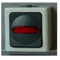 Kopp Kontrollschalter grau 561656007