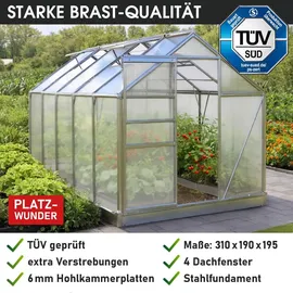 Brast Gewächshaus Aluminium Silber HKP 6 mm 5,89 m2