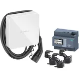 Spelsberg Polar DLM Bundle Wandladestation Typ 2 (11 kW, 16 A) 7 m