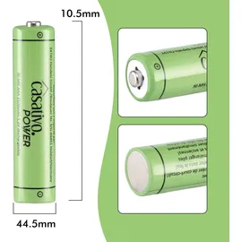 casativo-power AAA 1100 mAh 20 St.