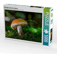 Calvendo Puzzle Birkenpilz (Leccinum scabrum) 1000 Teile Lege-Größe 64