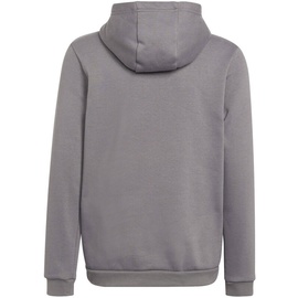 Adidas Entrada 22 Hoodie Kinder grau 164