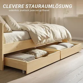Homestyle4u Bettkasten in Braun 173x16x63 cm 1910