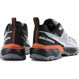Salomon X Ultra 360 GTX Herren Quiet Shade/Black/Spice Route 47 1/3