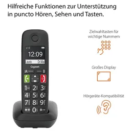 Gigaset E290