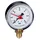 CALEFFI Manometer 557 0-10 bar, 1/4Zoll, unten