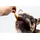 Nobby StarSnack Wrapped Chicken 375 g