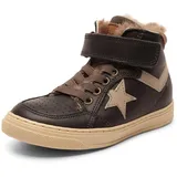 Bisgaard ian, Antracite