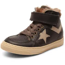 Bisgaard ian, Antracite