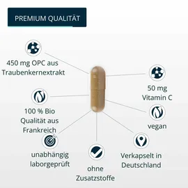 Brandl Bio OPC Traubenkernextrakt mit Vitamin C aus Acerola Kapseln 240 St.
