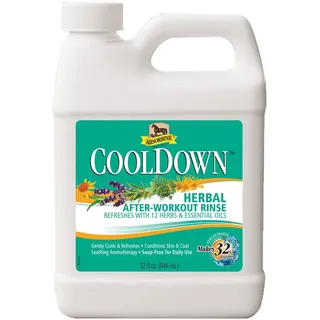 Absorbine CoolDown After Workout 946ml