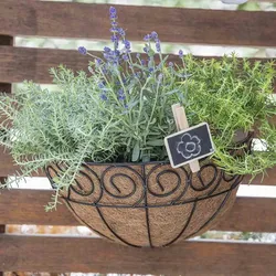 Siena Garden Wandampel Scroll 35 cm