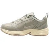 Nike Air Monarch IV Light Bone/Sanddrift/Spruce Aura 42,5