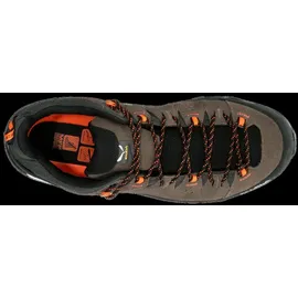 Salewa Alp Trainer 2 GTX Herren Bungee Cord/Black 43