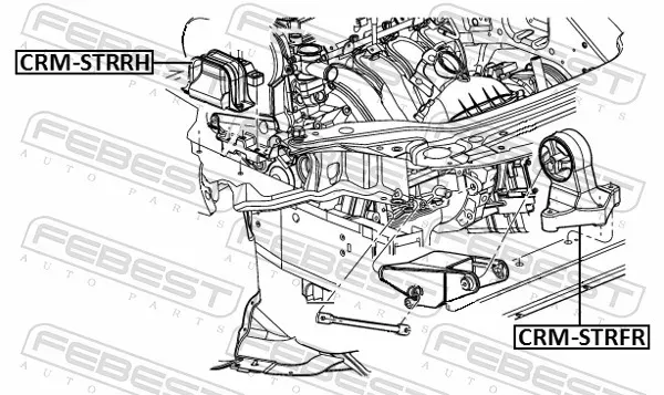 FEBEST Lagerung, Motor crmstrfr vorne für Chrysler ALFAROME/Fiat/LANCI