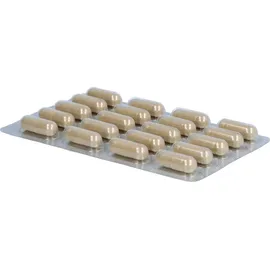 Luvos Heilerde extrafein akut Kapseln 60 St.