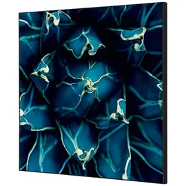 Showdown Displays Bilderrahmen Set Kaktus Mehrfarbig 40x40 cm 1 St.