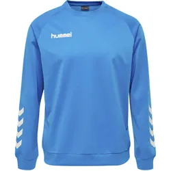 Poly Sweatshirt Raglanärmel Hmlpromo Multisport Kinder HUMMEL Gr. 104 - 4 Jahre