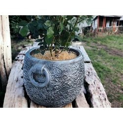 Pflanzentopf STONE M