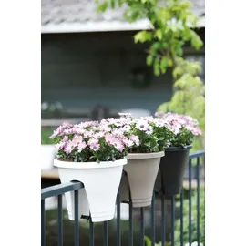 elho Corsica Flower Bridge Ø 30 x 24 cm weiß