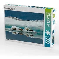 Calvendo Seehunde im Jökulsarlon (Puzzle)