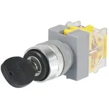 TRU Components 704480 Y090-A-11Y/21 Schlüsselschalter 250 V/AC 5A Aus/Ein 1 x 90° IP40 1St.