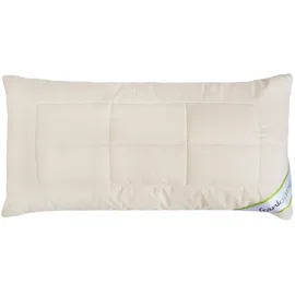 franknatur KopfKissen Lyocell 40 x 80 cm Beige