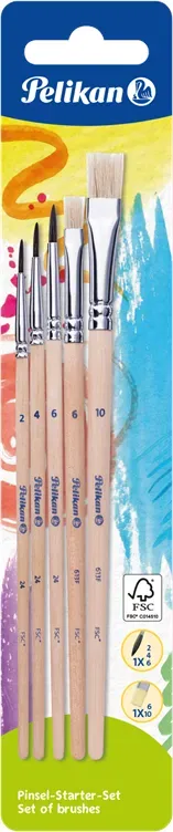Pinsel Starter-Set PI/5/B
