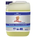 Meister Proper Professional Allzweckreiniger 10 l
