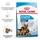 Royal Canin Maxi Starter 15 kg