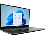 WORTMANN Terra Mobile 1717R 17,3'' Intel Core i5-1334U 16 GB RAM 1 TB SSD Win11 Home