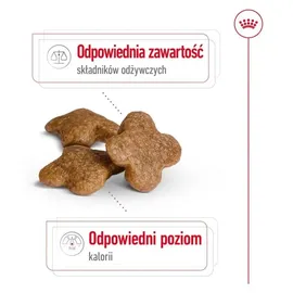 Royal Canin Mini Adult 8+ 800 g