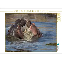 Calvendo Puzzle Nilpferde 1000 Teile Puzzle quer | 1000