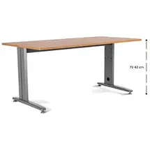 Rocada Schreibtisch Eiche grau