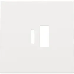 Niko Züblin 154-68002 Abdeckung für intelligentes Zweifach USB A und USB C Ladegerät, white coated 15468002