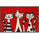 Wash+Dry FUßMATTE Three Cats, Rot, Textil, Katze, rechteckig, 40x60 cm, Oeko-Tex® Standard 100, rutschfest, Teppiche & Böden, Fuß & Stufenmatten, Fußmatten