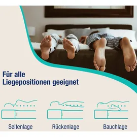schlafhafen Ergonomische 7 Zonen Kaltschaummatratze 80 x 190 cm H2/H3