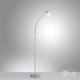 Paul Neuhaus Pino 111 cm x 163 cm grau