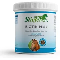 Stiefel Biotin H Pellet 1 kg