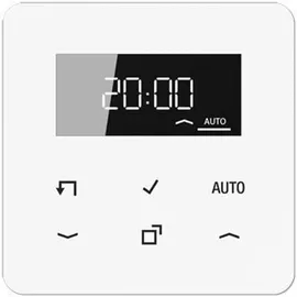 Jung Timer Standard, Display Echtglasfront CD 1750 D WW