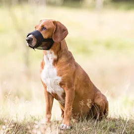 Trixie Maulkorb mit Netzeinsatz