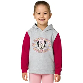 UNITED LABELS Hoodie Grey 110