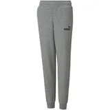 Puma Essentials Logo Pants FL cl B Medium Gray Heather