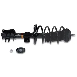 Gh Federbein komplett vorne [Hersteller-Nr. GH-352389C01] für Fiat