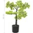 vidaXL Künstlicher Bonsai Zypresse mit Topf 60 cm Grün
