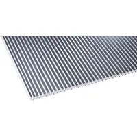 Gutta Hohlkammerplatte 16 mm 980 x 4000 mm Klar / Anthrazit gestreift