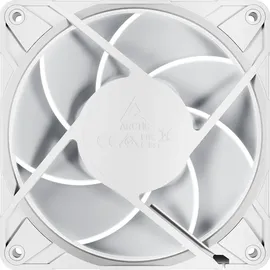 Arctic Gehäuselüfter P12 Pro A-RGB PWM 120 mm weiß 4-pin