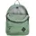 DAKINE 365 Pack 21 l dark ivy
